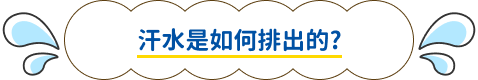汗水是如何排出的?
